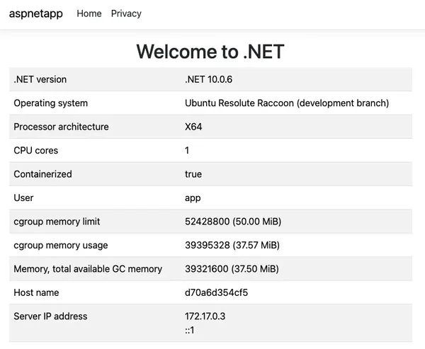 Ubuntu 26.04'te .NET 10: Kurulum ve Konteyner Rehberi