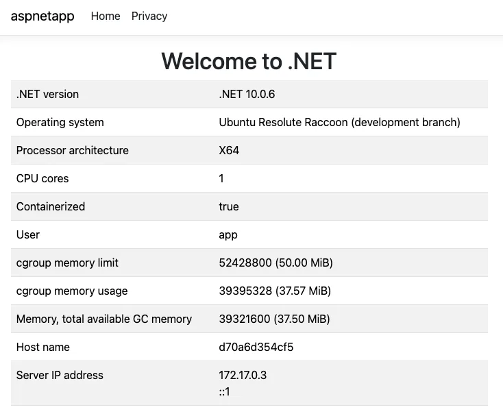 Ubuntu 26.04'te .NET 10: Kurulum ve Konteyner Rehberi