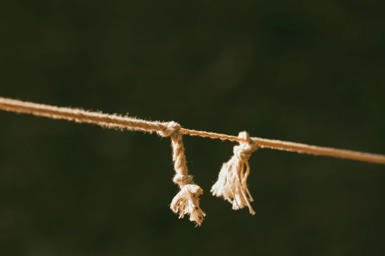 GitHub Pull Request Sayfası Yenilendi: Yeni Filtreler